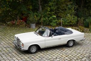 Image 1/15 of Mercedes-Benz 280 SE 3,5 (1971)