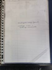 Afbeelding 18/29 van Peugeot 203 Familiale (1953)