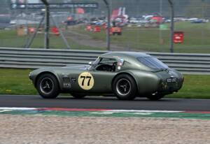 Imagen 9/15 de AC Shelby Cobra 289 (1965)