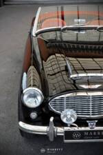 Immagine 11/68 di Austin-Healey 3000 Mk I (BT7) (1959)