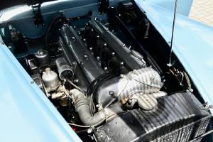 Image 29/50 of Jaguar XK 120 OTS (1952)
