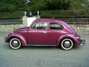 Imagen 11/15 de Volkswagen Käfer 1200 Standard &quot;Ovali&quot; (1956)