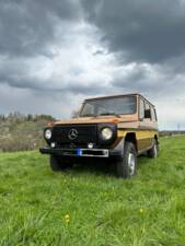 Bild 1/18 von Steyr-Puch 300 GD (lang) (1982)