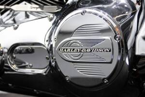 Immagine 49/50 di Harley-Davidson FXSTS Softail Springer (2000)