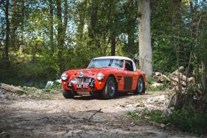 Imagen 2/28 de Austin-Healey 3000 Mk I (BT7) (1960)