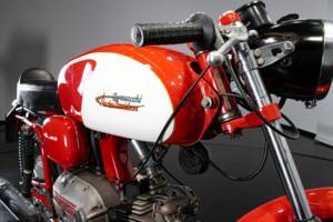 Immagine 45/50 di Aermacchi Ala Verde (1964)
