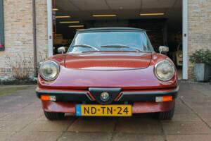 Bild 3/8 von Alfa Romeo 1.6 Spider (1983)