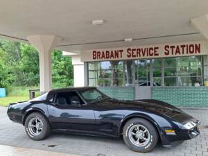 Imagen 8/8 de Chevrolet Corvette Sting Ray (1982)