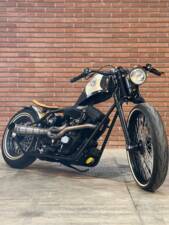 Imagen 44/60 de Harley-Davidson DUMMY (2017)