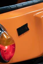 Bild 5/25 von Volkswagen Meyers Manx Buggy (1972)