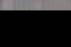 Immagine 16/51 di Land Rover Range Rover Classic 3.9 (1989)