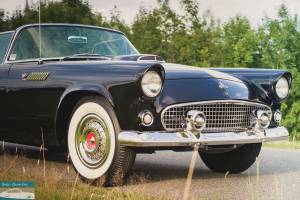 Imagen 8/29 de Ford Thunderbird (1955)