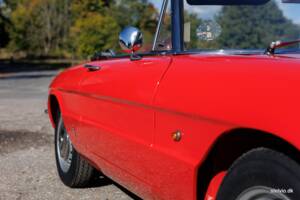 Afbeelding 19/50 van Alfa Romeo 1600 Spider Duetto (1967)