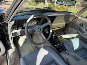 Bild 31/50 von Chevrolet Corvette 25th Anniversary (1978)