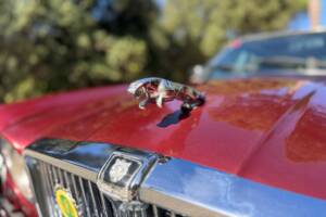 Immagine 34/41 di Jaguar XJ 12 (1990)