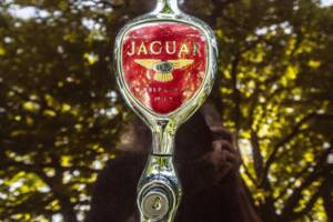 Image 7/9 of Jaguar XK 140 DHC (1956)