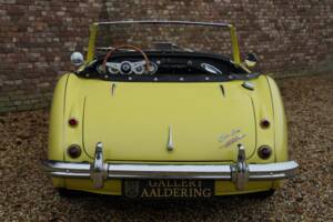 Bild 6/50 von Austin-Healey 3000 Mk I (BN7) (1960)