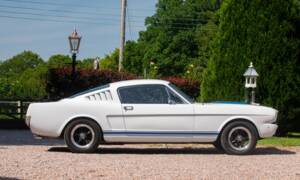 Image 7/54 of Ford Shelby GT 350 (1965)