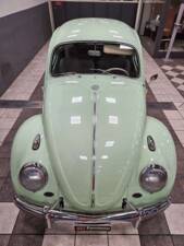 Immagine 6/19 di Volkswagen Beetle 1200 A (1964)