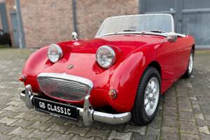 Image 6/40 of Austin-Healey Sprite Mk I (1958)
