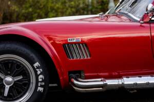 Afbeelding 40/50 van AC Cobra 289 (2000)