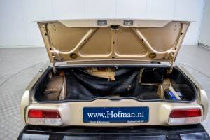 Immagine 24/50 di Triumph TR 8 (1980)
