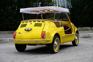 Image 33/45 of FIAT Ghia 500 Jolly (1971)