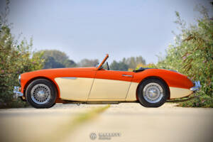 Bild 3/40 von Austin-Healey 3000 Mk I (BN7) (1959)