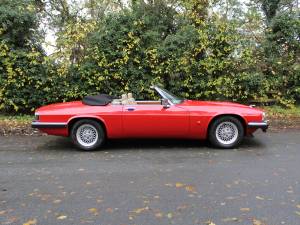 Image 7/21 de Jaguar XJS 5.3 V12 (1992)