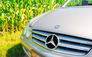 Image 14/49 of Mercedes-Benz CLK 280 (2006)
