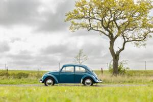 Bild 36/40 von Volkswagen Käfer 1300 (1965)