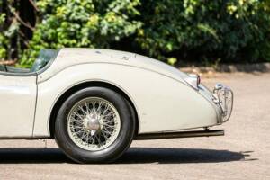 Bild 14/48 von Jaguar XK 120 C (C-Type) (1952)