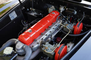 Image 19/50 of Nash-Healey Roadster (1953)