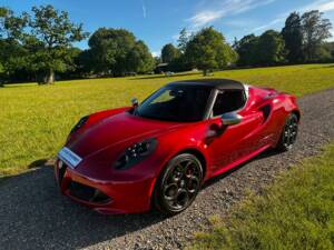 Bild 16/47 von Alfa Romeo 4C Spider (2015)