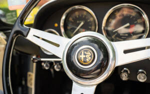 Image 61/77 of Alfa Romeo 2600 Spider (1963)