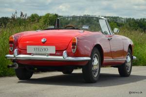 Bild 6/21 von Alfa Romeo Giulia 1600 Spider (1964)