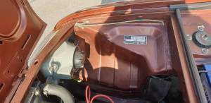 Bild 25/34 von Alfa Romeo Alfasud 1.2 ti (1981)