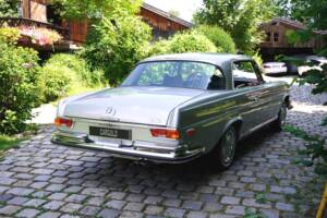 Bild 10/19 von Mercedes-Benz 280 SE 3,5 (1971)