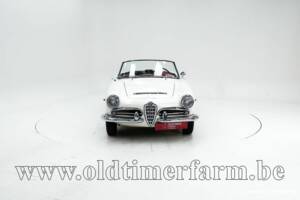 Bild 5/30 von Alfa Romeo Giulia 1600 Spider Veloce (1965)