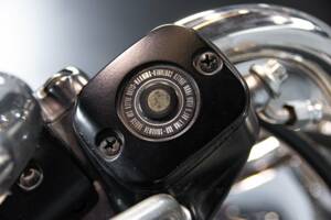 Bild 47/50 von Harley-Davidson DUMMY (2003)