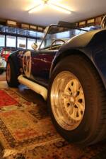 Image 48/57 of AC Cobra 427 (1965)