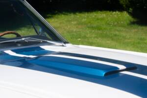 Bild 43/50 von Ford Shelby GT 350 (1965)