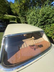 Image 10/52 of Mercedes-Benz 250 SE (1966)