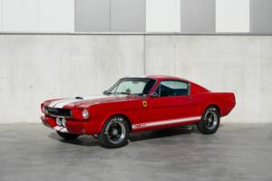 Image 1/50 of Ford Shelby GT 350 (1965)