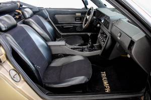 Immagine 7/50 di Triumph TR 8 (1980)