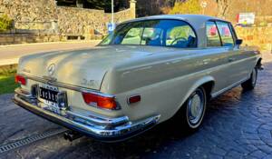 Immagine 6/16 di Mercedes-Benz 280 SE 3,5 (1970)