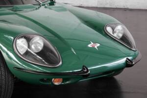 Bild 17/50 von Marcos 1500 GT (1967)
