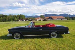 Imagen 7/53 de Mercedes-Benz 280 SE 3,5 (1970)