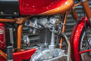 Image 22/43 of Ducati 175 Sport (1959)