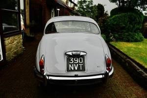 Bild 6/24 von Jaguar Mk II 2.4 (1960)
